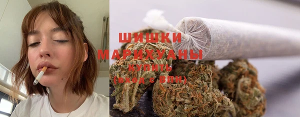 СК Абинск