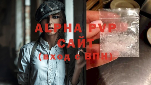 СК Абинск