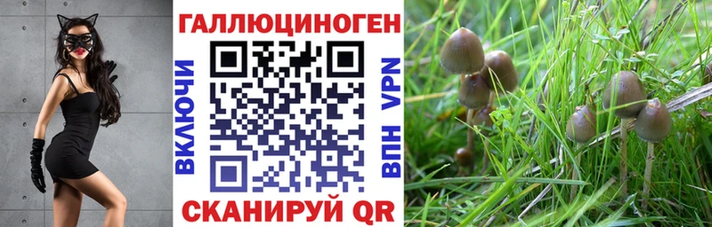 Псилоцибиновые грибы Magic Shrooms  Моздок 