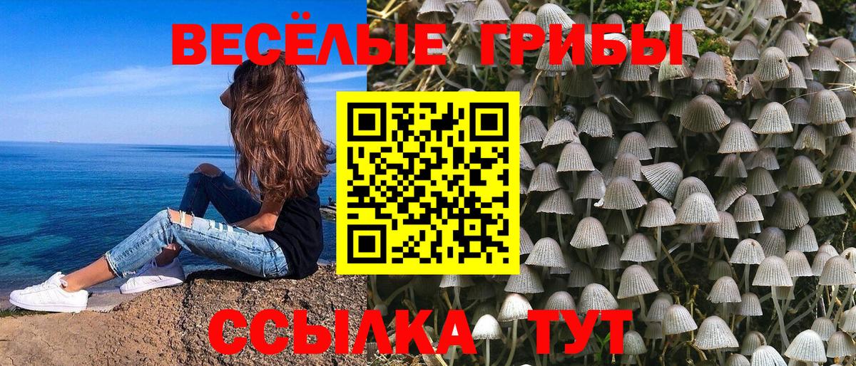 Псилоцибиновые грибы Magic Shrooms  Вход с VPN  Моздок 