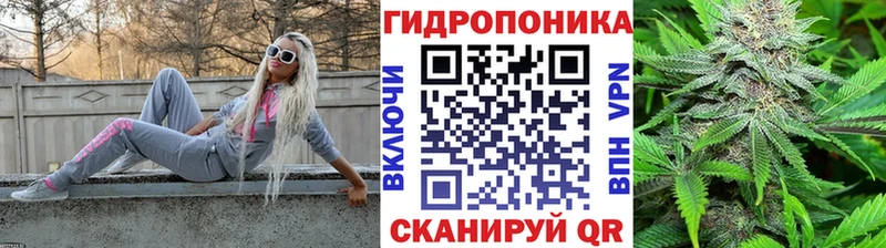 Каннабис план MEGA tor Моздок где купить наркоту