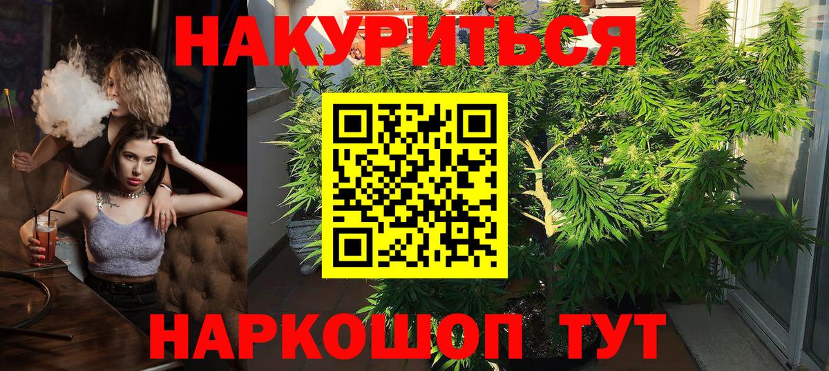 Шишки марихуана марихуана Моздок
